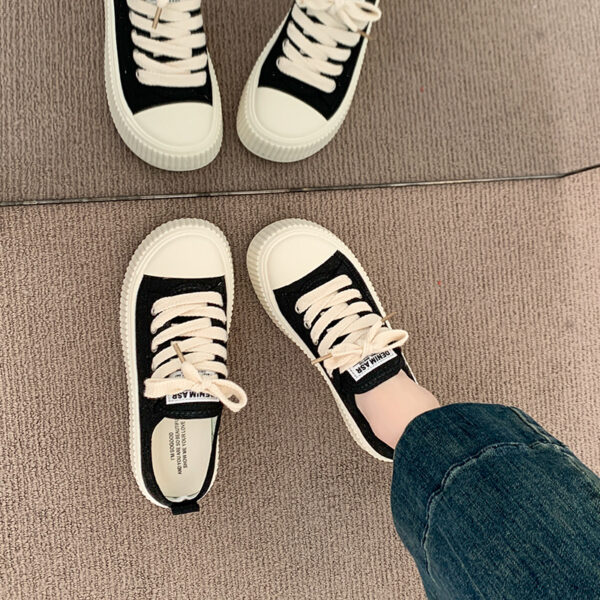 IMG_9049_拷贝 Baisheng & X201